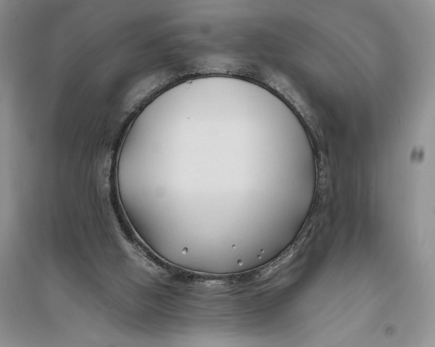 X0000094080058200711091224