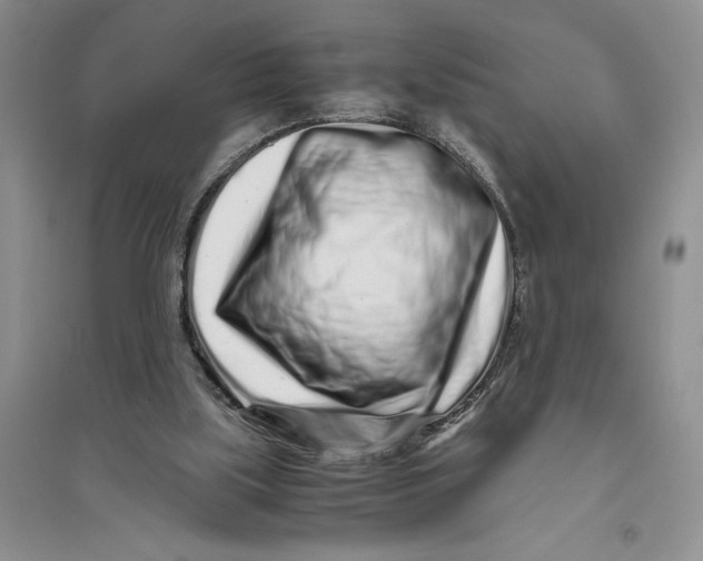 X0000094080059200711091224