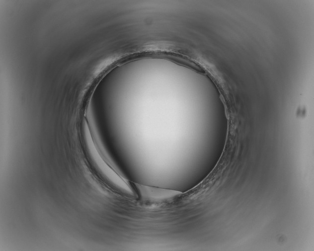 X0000094080060200711091224