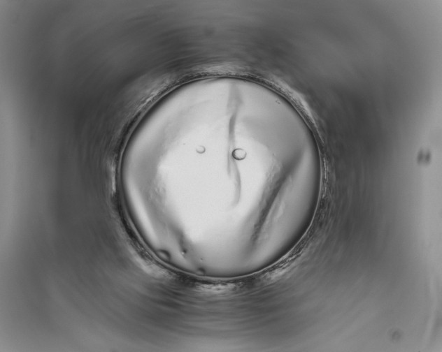 X0000094080061200711091224