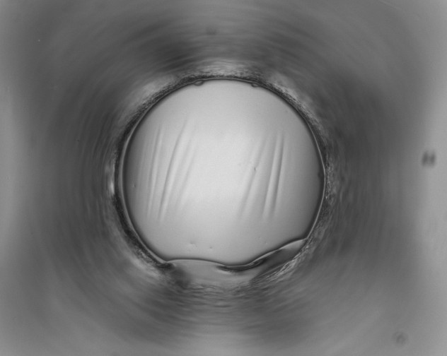 X0000094080062200711091224