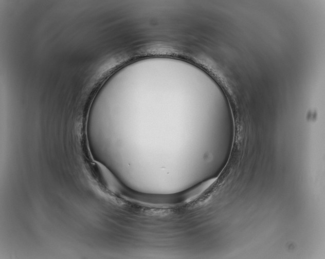 X0000094080063200711091224
