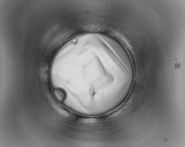 X0000094080065200711091224