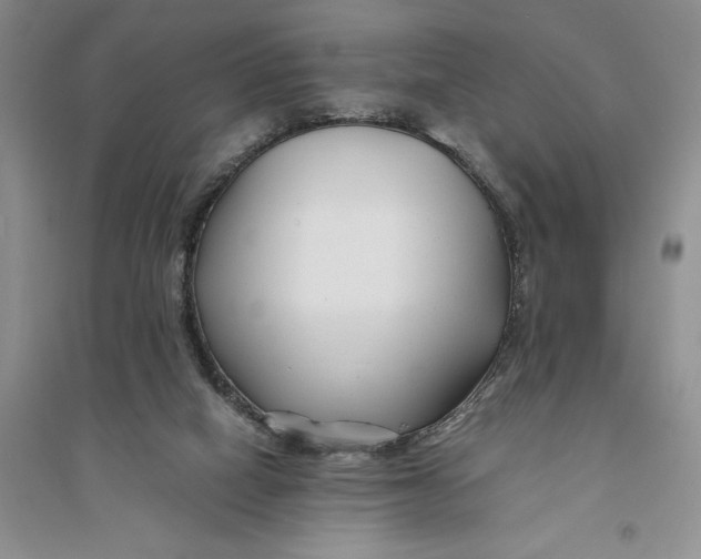 X0000094080066200711091224