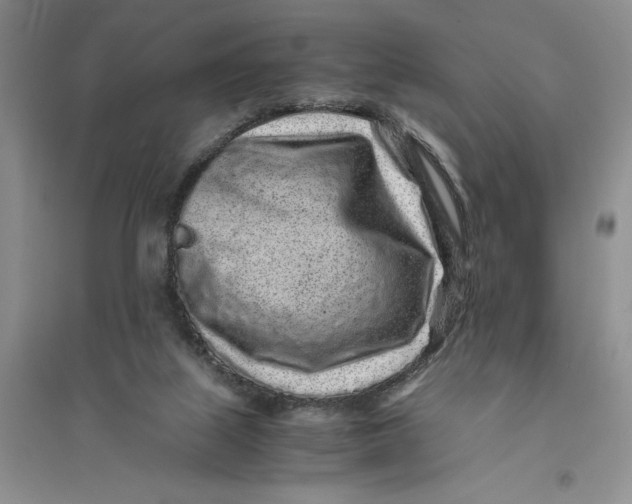 X0000094080067200711091224