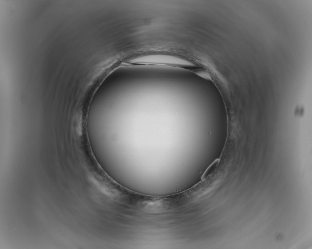 X0000094080068200711091224