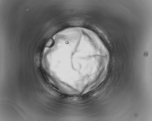 X0000094080069200711091224