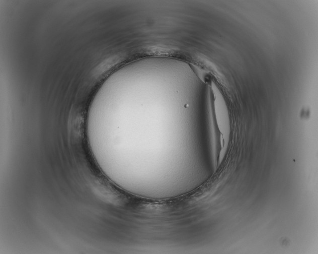 X0000094080071200711091224