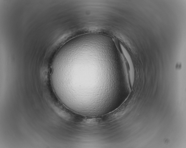 X0000094080072200711091224
