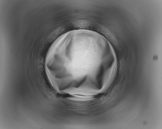 X0000094080073200711091224