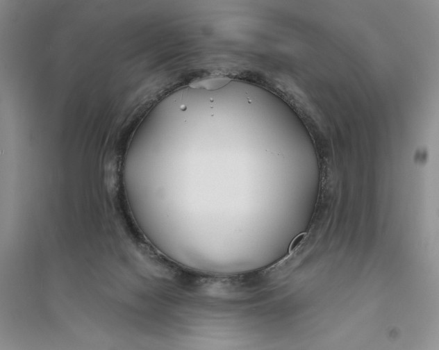 X0000094080074200711091224