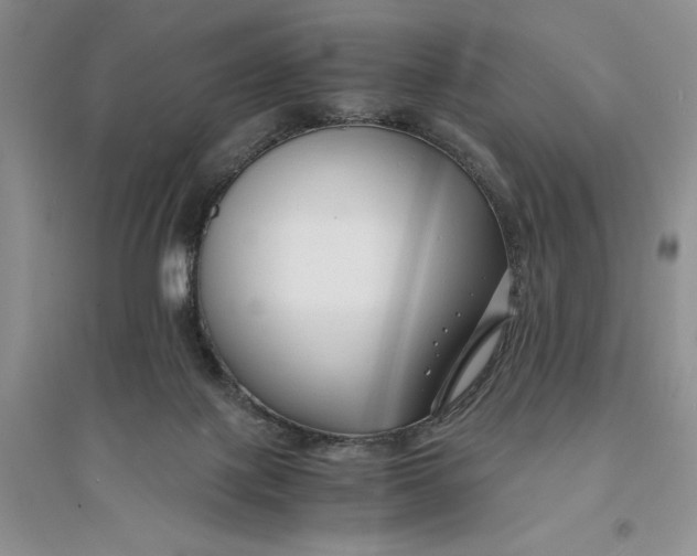 X0000094080075200711091224