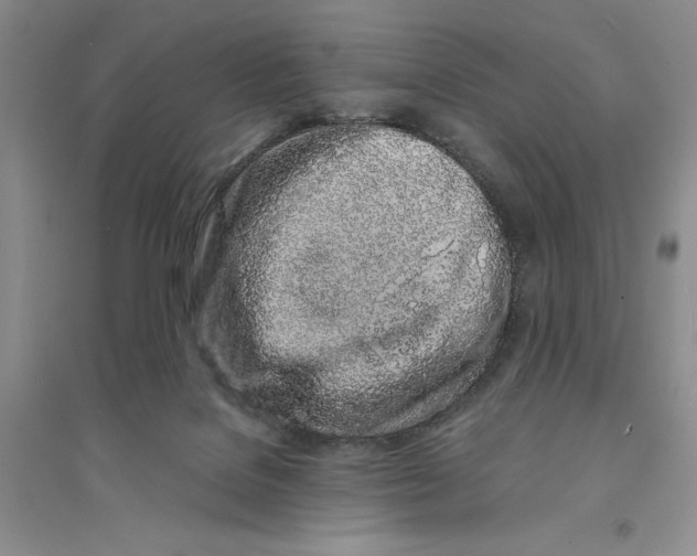 X0000094080076200711091224