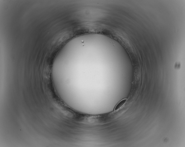 X0000094080078200711091224