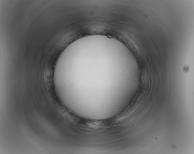 X0000094080079200711091224