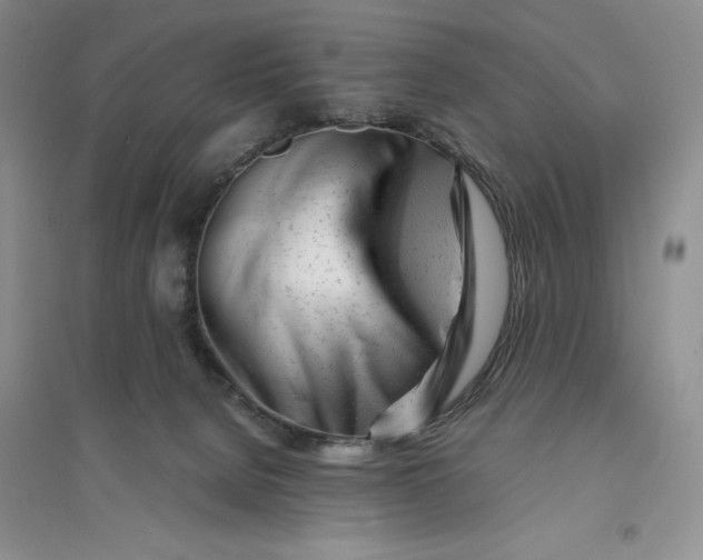 X0000094080080200711091224