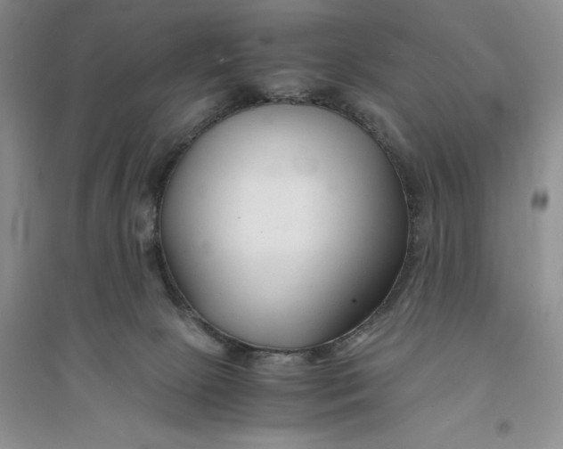 X0000094080081200711091224