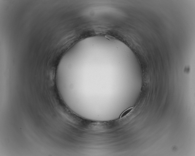 X0000094080082200711091224