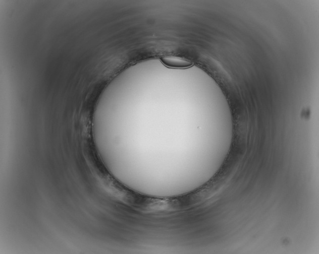 X0000094080083200711091224