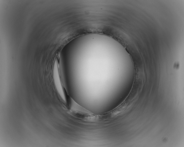 X0000094080084200711091224