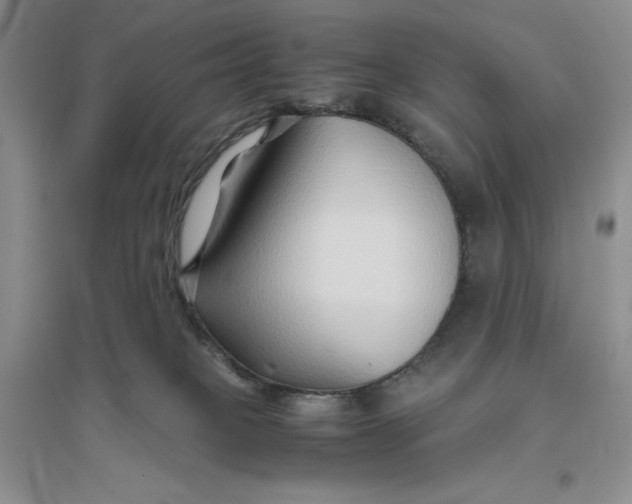 X0000094080085200711091224