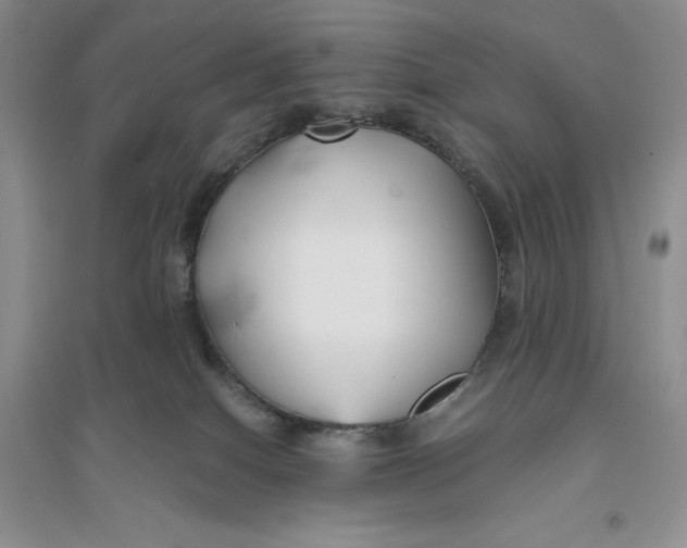 X0000094080086200711091224