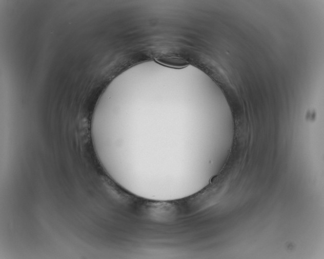 X0000094080087200711091225