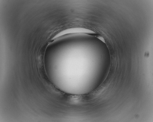 X0000094080088200711091225