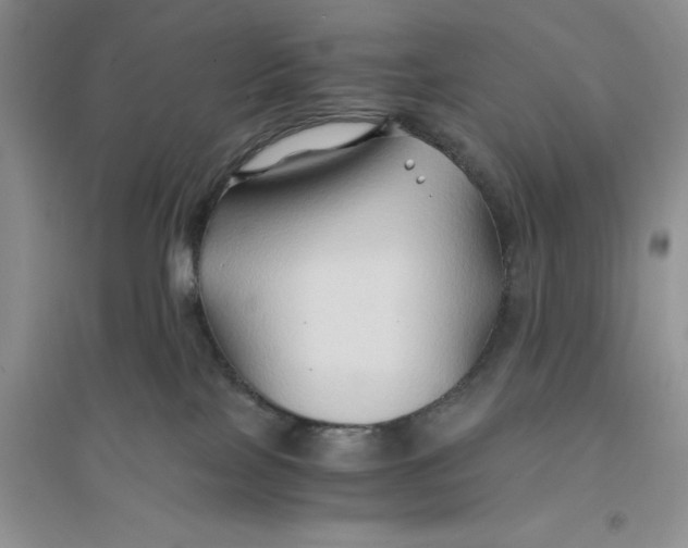 X0000094080089200711091225