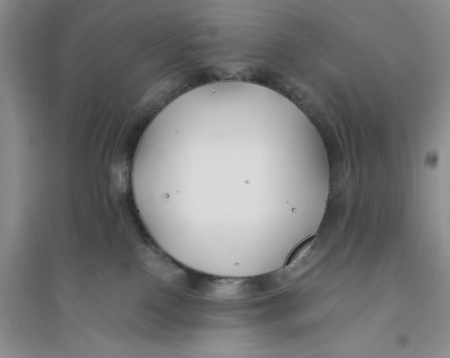 X0000094080090200711091225