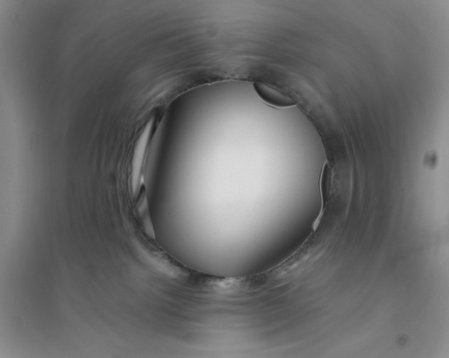X0000094080092200711091225