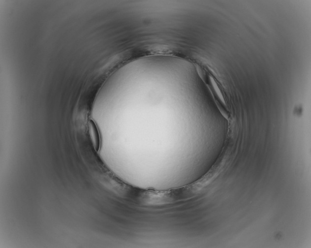 X0000094080093200711091225
