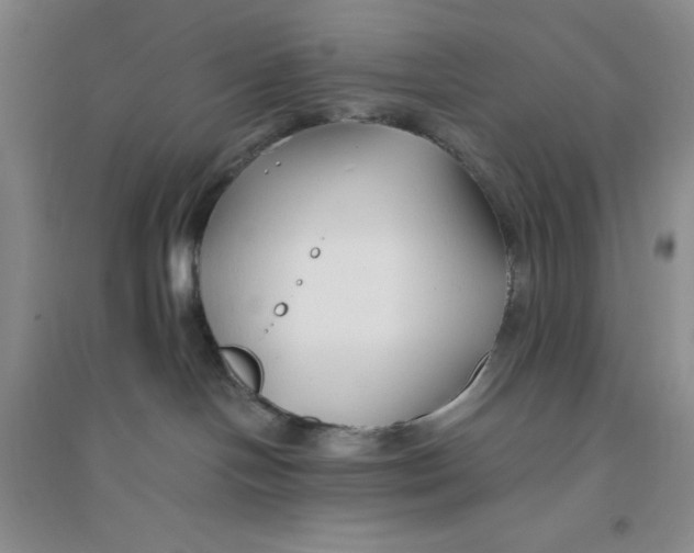 X0000094080094200711091225
