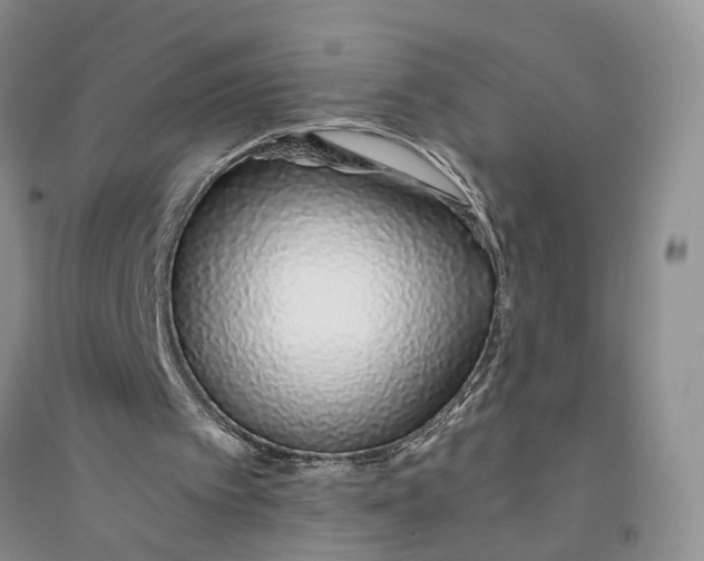 X0000094080097200711091224