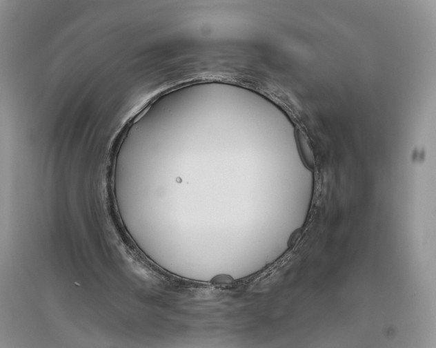 X0000094080098200711091224