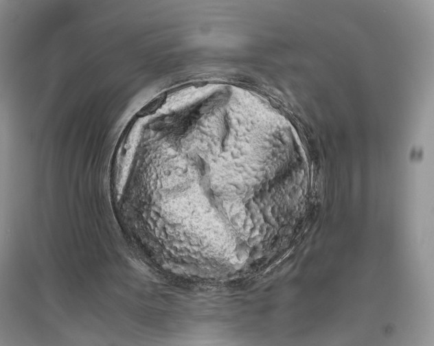 X0000094080099200711091224