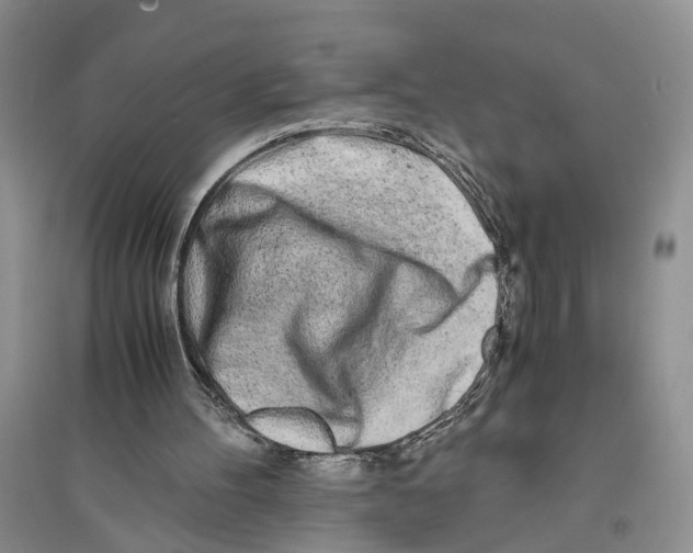 X0000094080100200711091224