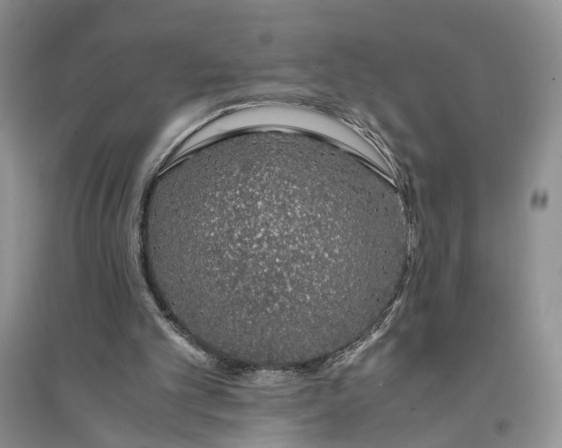 X0000094080101200711091224