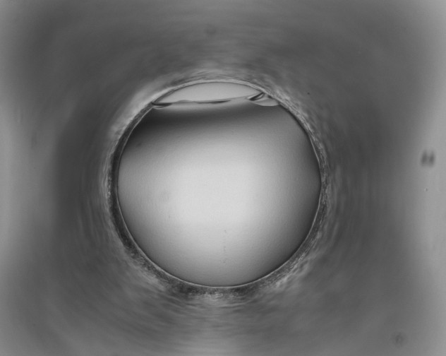 X0000094080103200711091224
