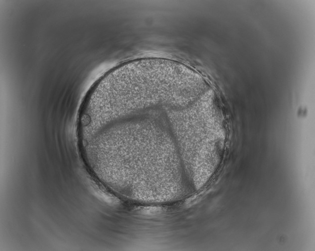 X0000094080104200711091224