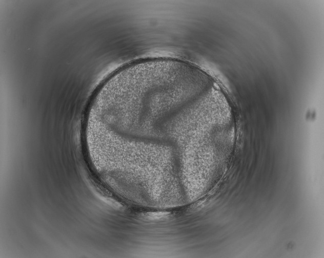 X0000094080108200711091224