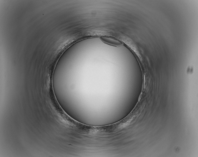 X0000094080109200711091224