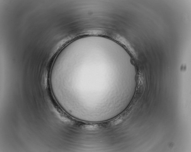X0000094080110200711091224