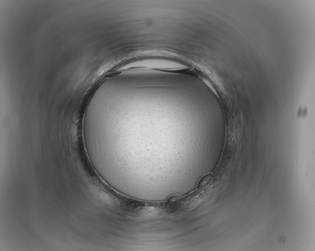 X0000094080111200711091224