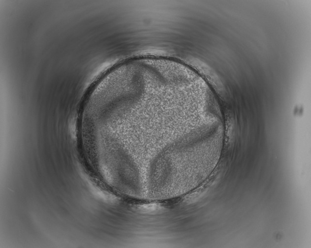 X0000094080112200711091224