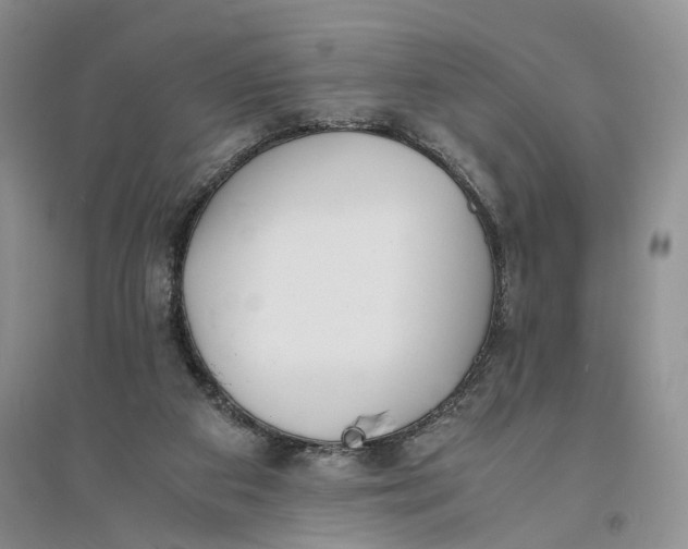 X0000094080113200711091224