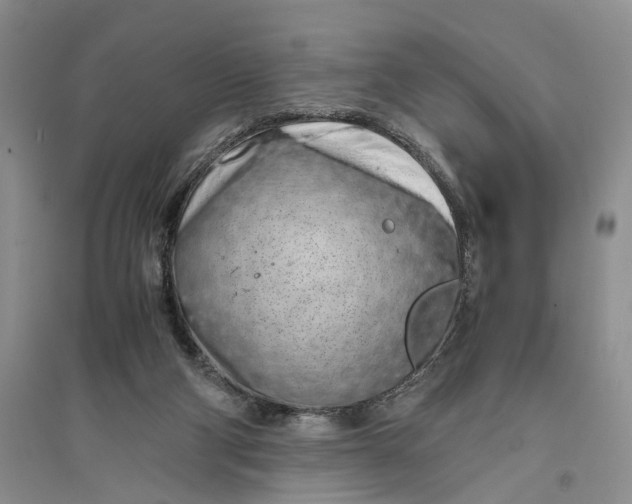 X0000094080114200711091224
