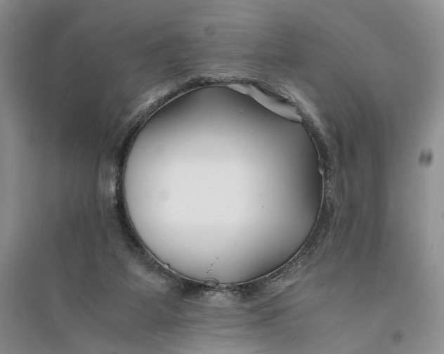 X0000094080115200711091224
