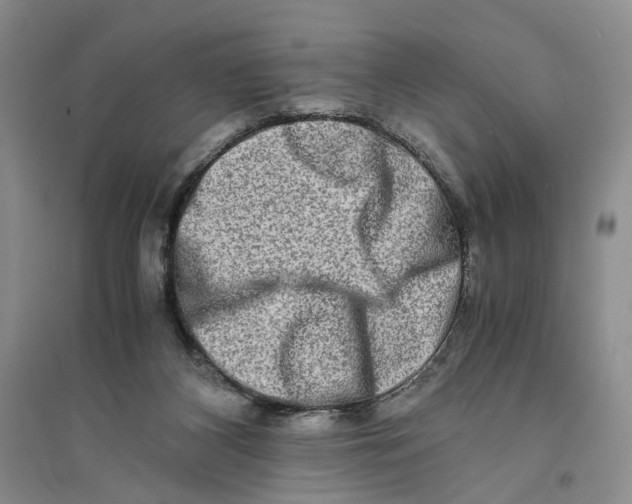 X0000094080116200711091224