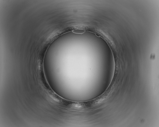 X0000094080117200711091224